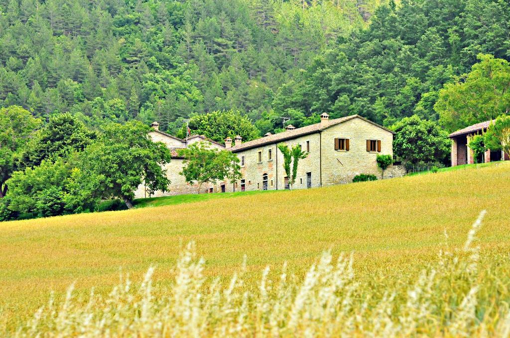 Agriturismo Popolano Di Sotto Marradi Exterior foto