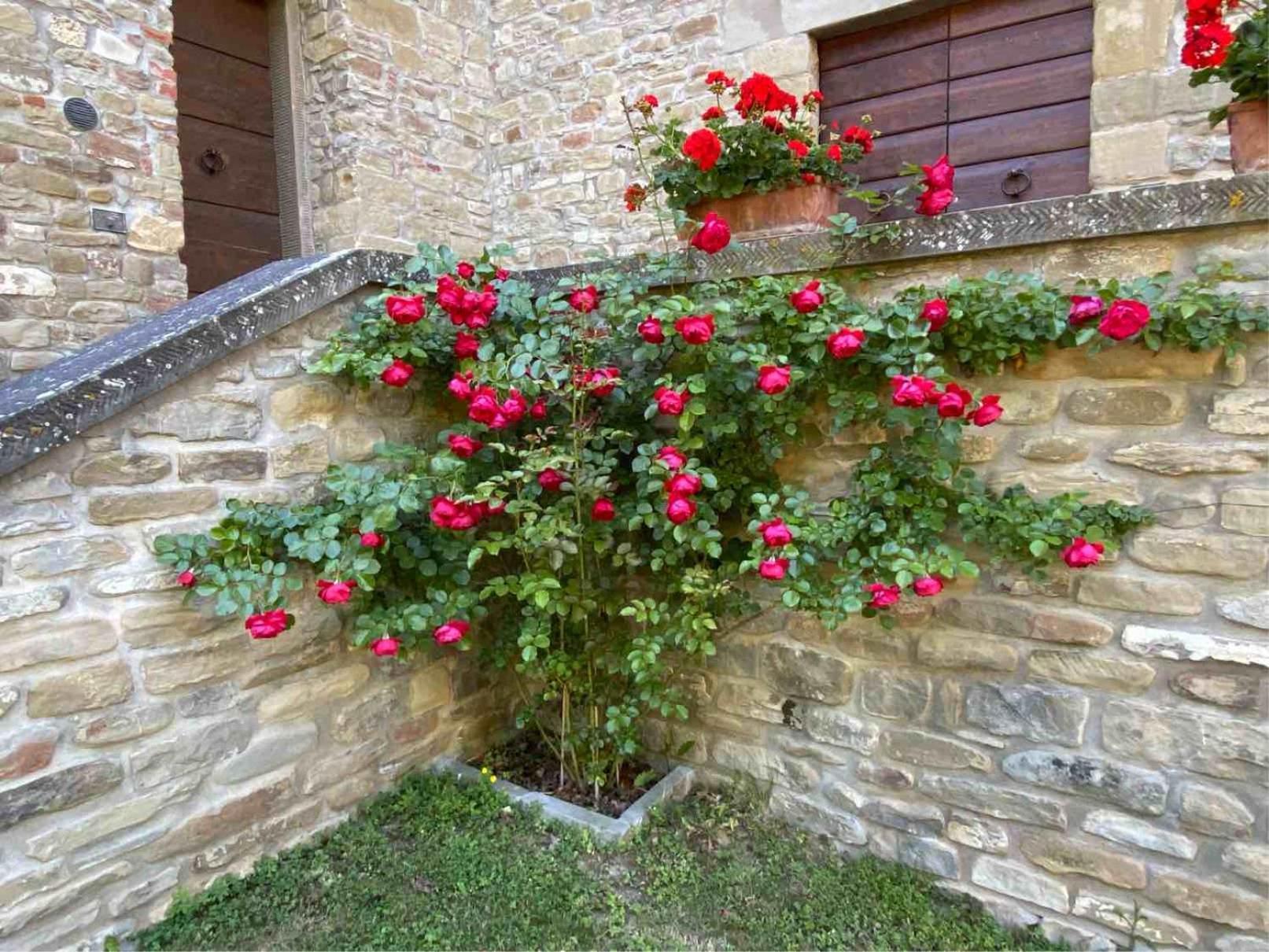 Agriturismo Popolano Di Sotto Marradi Exterior foto